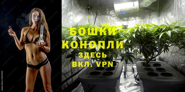 бутират Белокуриха